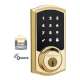TOUCH SCREEN, ZW POLISHED BRASS