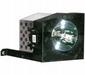Toshiba D95-LMP Lamp with Housing