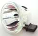 Toshiba DC Replacement Lamp