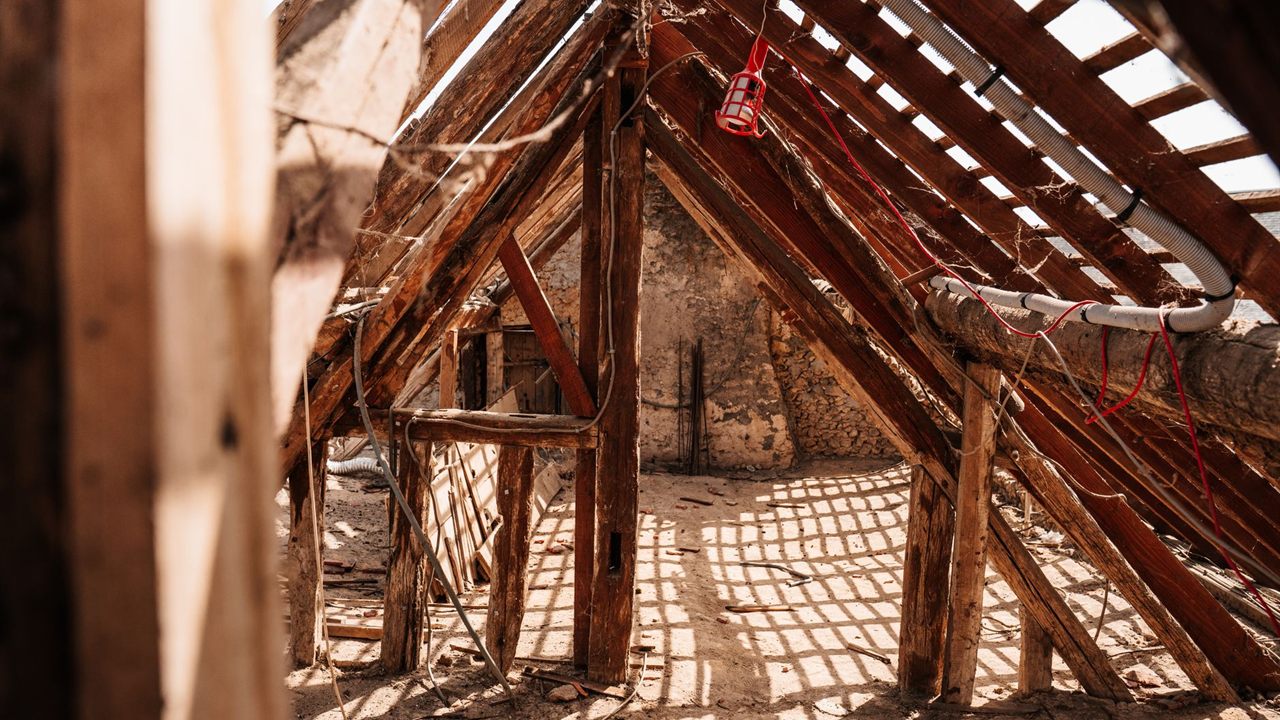 Open attic rafters and roof battens, the kind of space an attic TV antenna is mounted in