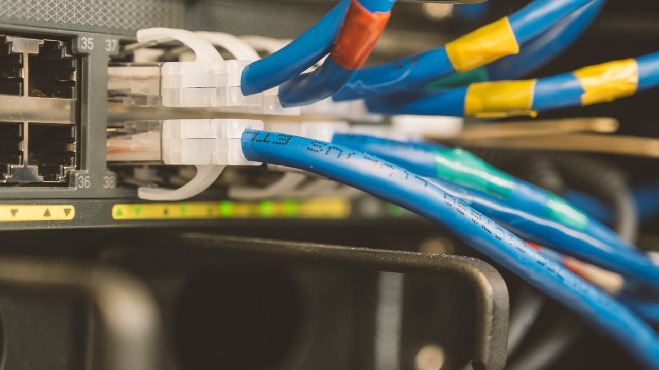 Blue ethernet patch cables plugged into a network switch