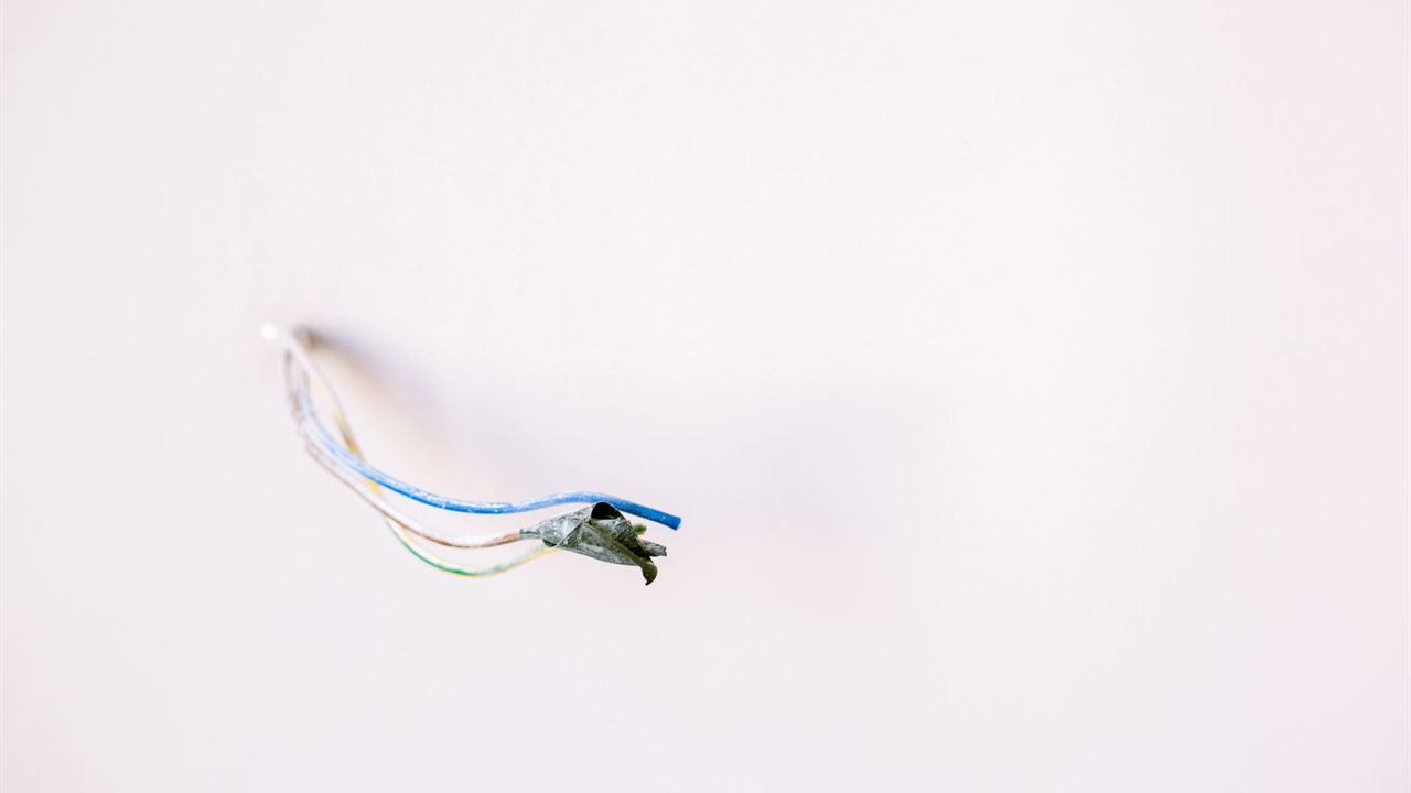 Wires left out of a finished white wall at rough-in, ready for a long run