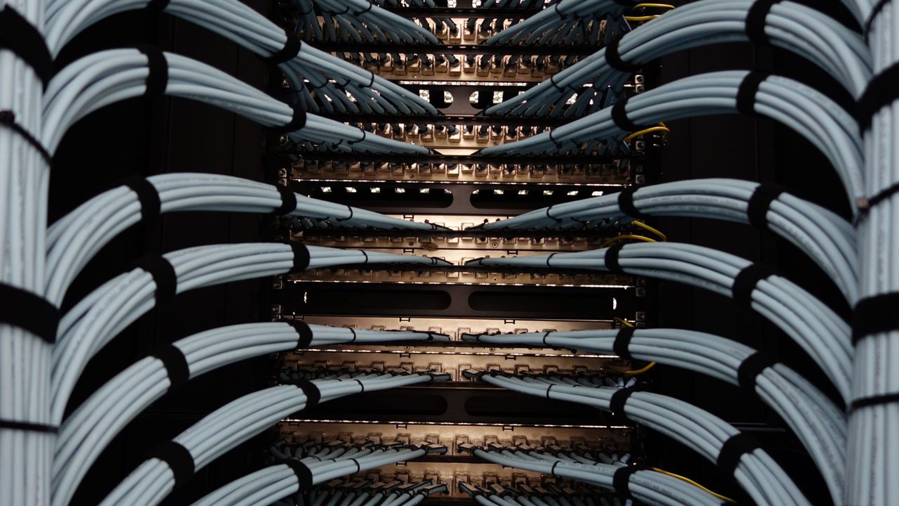 Dressed bundles of network cable feeding patch panels in a rack, the backbone of an NVR system