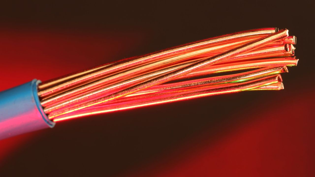 Stripped end of a stranded copper conductor with blue insulation
